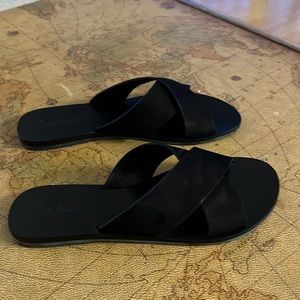 Splendid tava slides